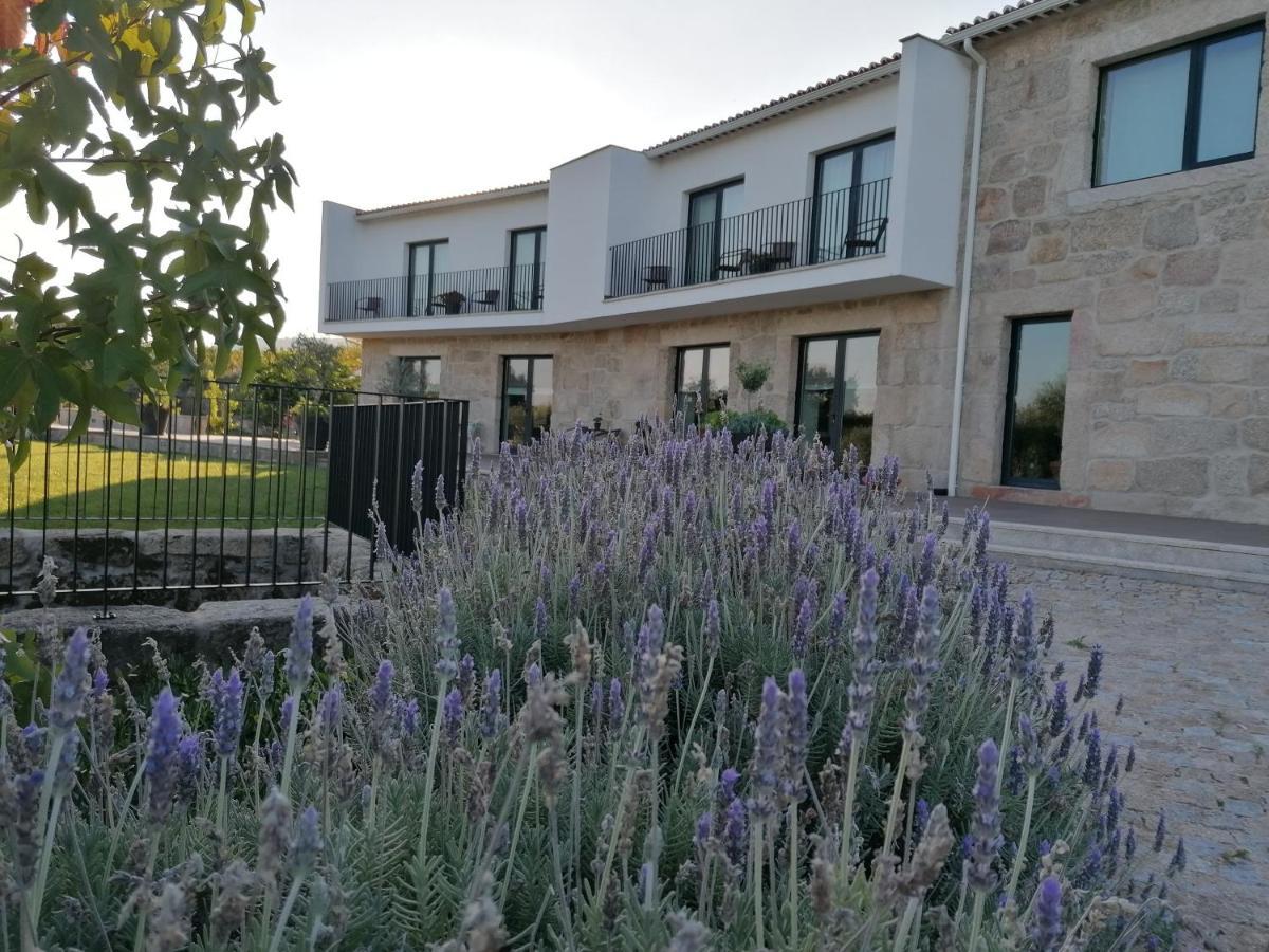 Carvalhal Redondo - Farm House Castelo Novo Buitenkant foto