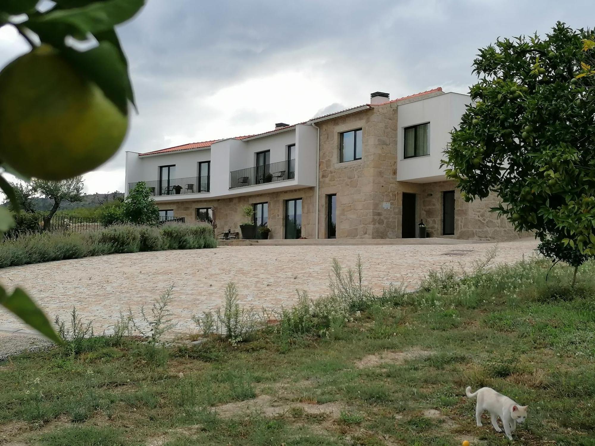 Carvalhal Redondo - Farm House Castelo Novo Buitenkant foto